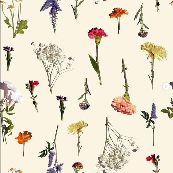 Lisa Says Gah Rose Mini Skirt in Milk Bouquet - Picture 5 of 16